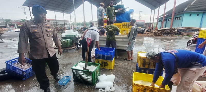 IKAN LUAR JEMBER: Anggota Satpolair Polres Jember melihat pasokan ikan dari luar Jember di TPI Puger. (JUMAI/RADAR JEMBER)