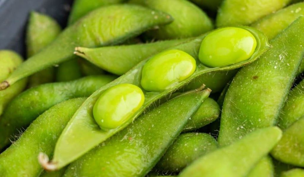 Edamame (The Stay at Home Chef-pinterest)