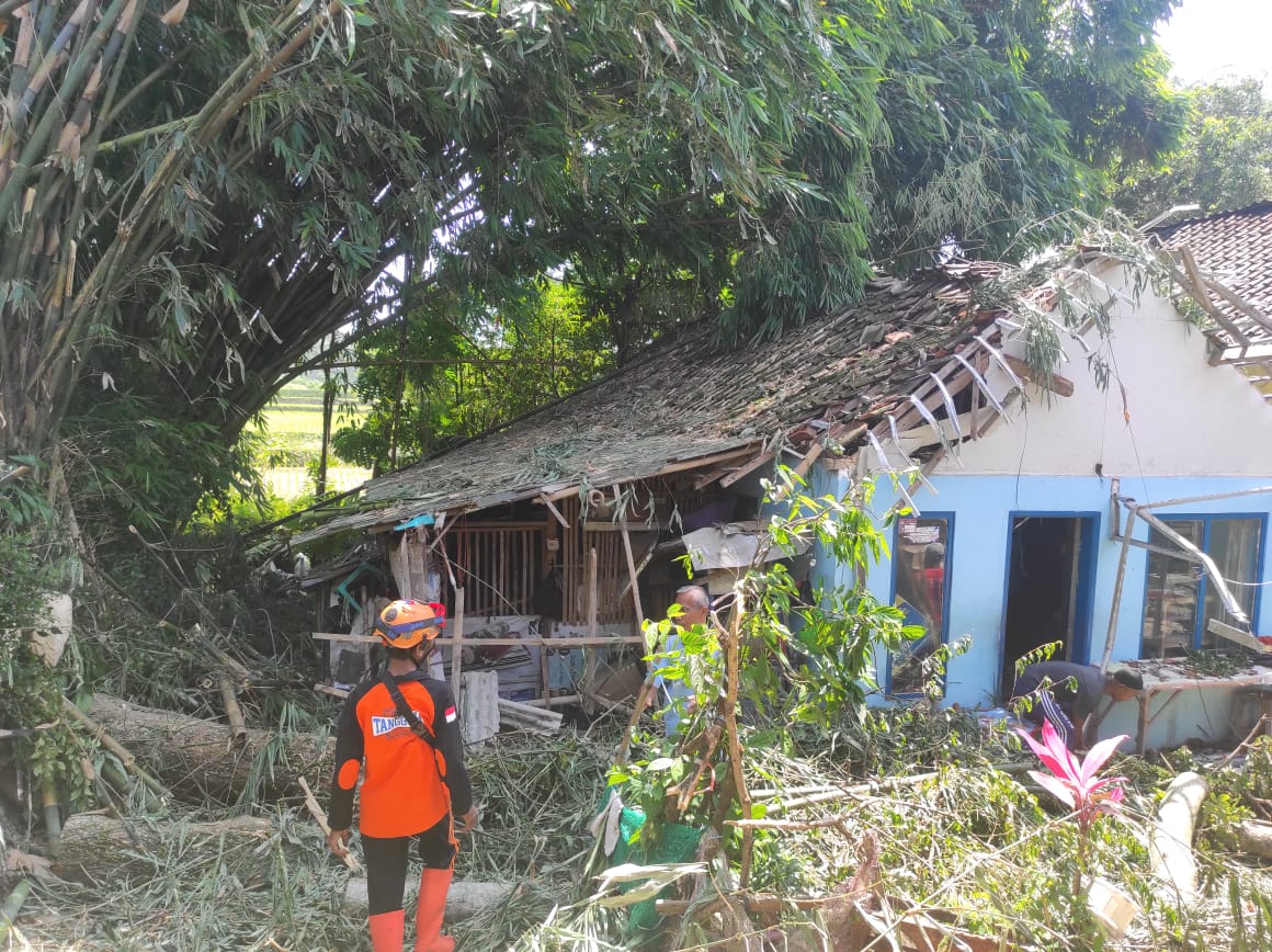 Angin Kencang Terjang Jember, Satu Tewas, Tujuh Orang Alami Luka