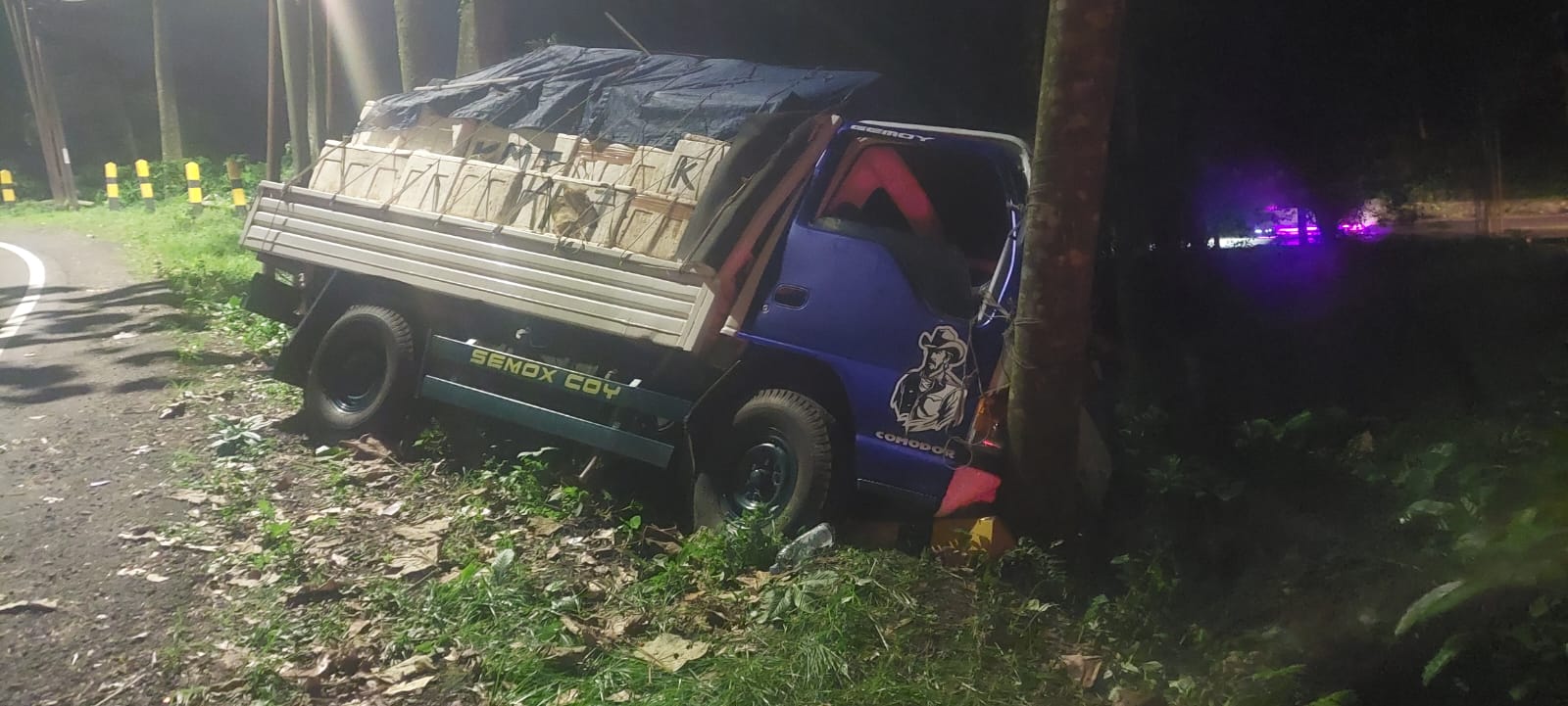Mobil pikap Isuzu menbrak pohon di tikungan Gumitir Jember.