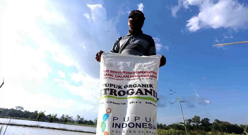 PUPUK SUBSIDI: Jumlah petani yang berhak mendapatkan kuota pupuk subsidi bertambah dari tahun sebelumnya. (DWI SISWANTO/RADAR JEMBER)