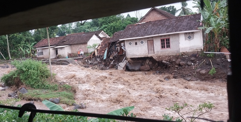Banjir bandang kembali terjadi di Sungai Petung Desa Pakis, Kecamatan Panti, Senin (9/2/2026). (JUMAI/RADAR JEMBER)