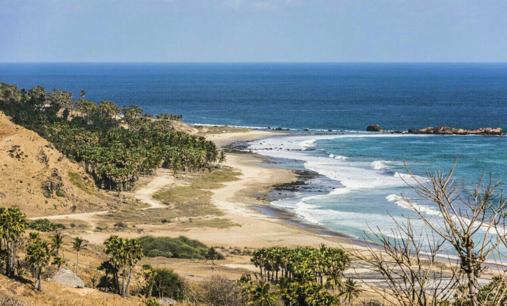 Pulau Sabu NTT (foto: Pesona Indonesia)