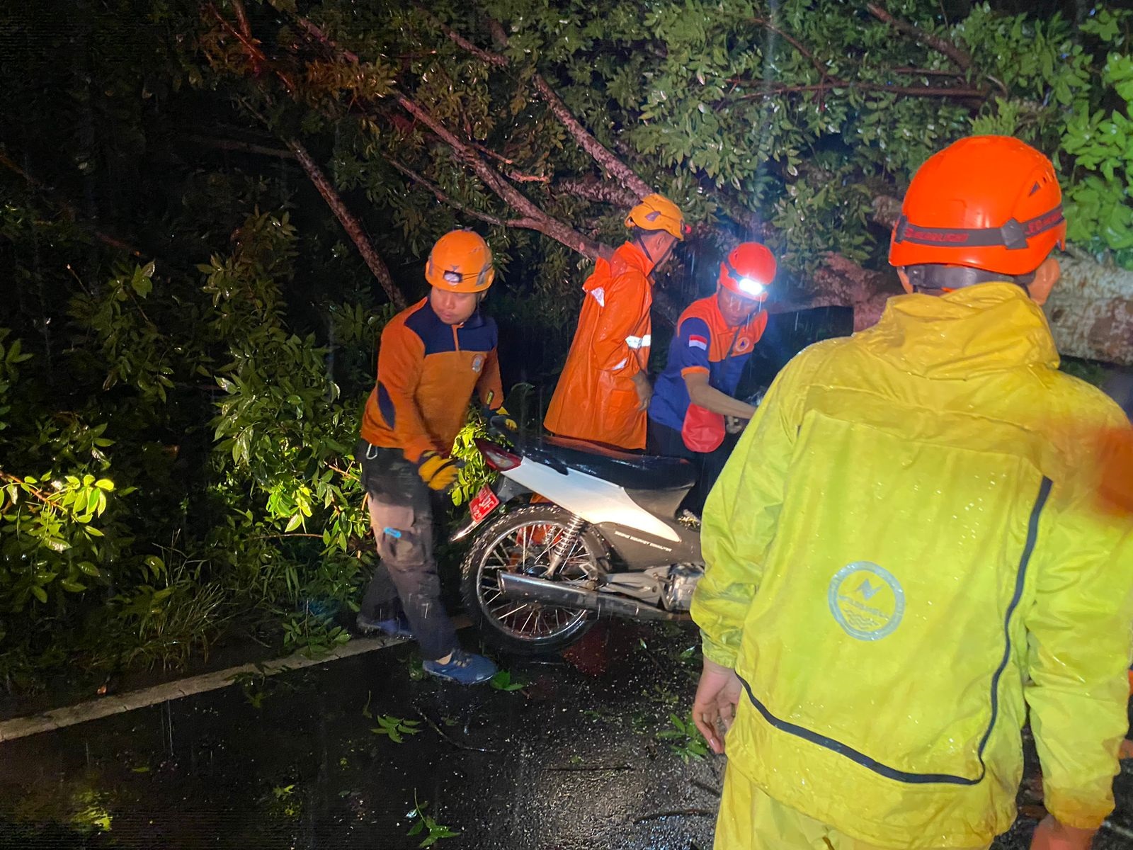 Petugas mengevakuasi sepeda motor korban yang tertimpa pohon tumbang akibat angin kencang di Jalan Ahmad Yani, Kelurahan Tegal Besar, Kaliwates.