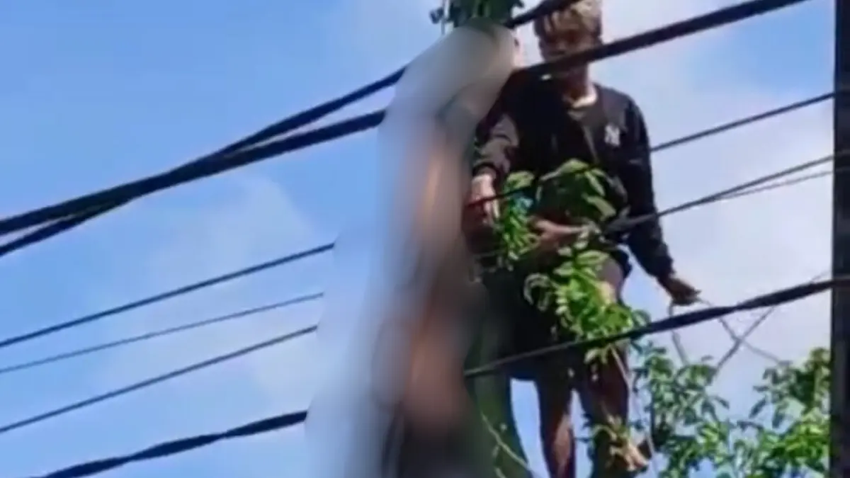 Warga mengevakuasi jenazah A Wafi, warga Jelbuk Jember yang tewas tersengat aliran listrik seusai memotong ranting pohon randu, Senin (23/3/2026). (Jumai/Halojember)