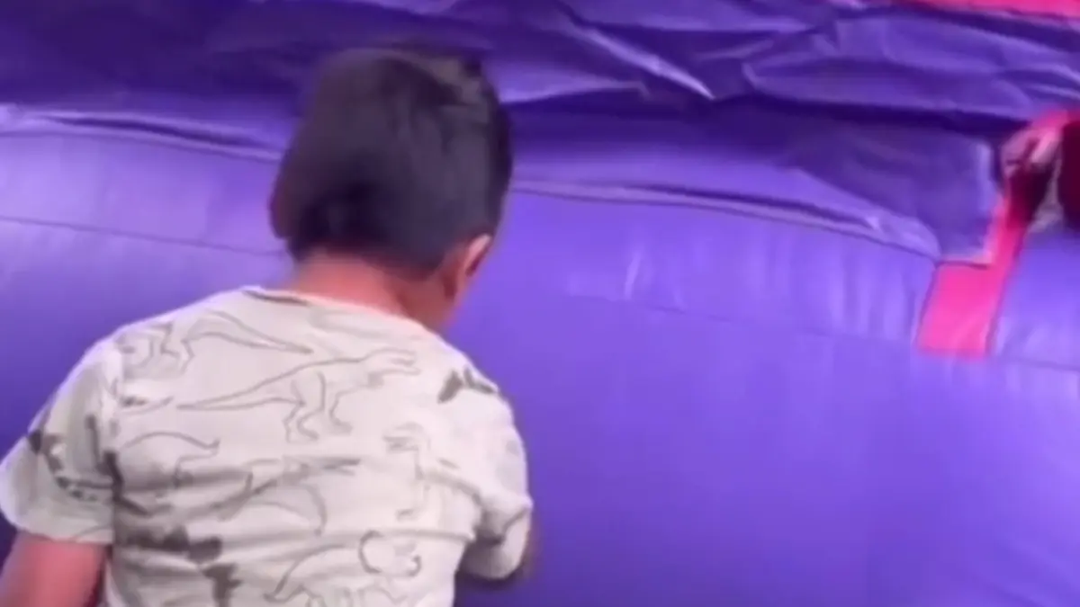 Tangkapan Layar Anak Sobek Istana Tana Balon