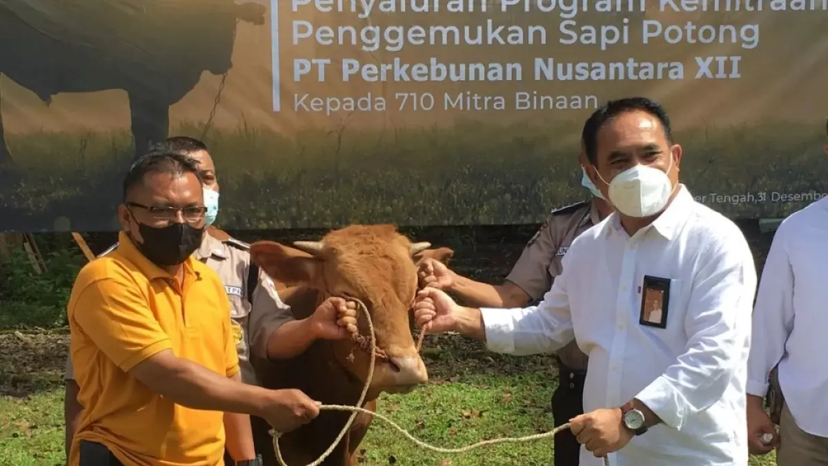 Salah satu program PTPN I Regional 5 dalam mendukung pengentasan kemiskinan di Jember. (Foto: PTPN I Regional 5)