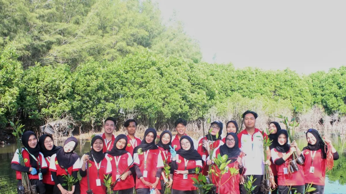 Mahasiswa Universitas Jember secara organik melakukan penanaman mangrove di Pantai Cemara, Puger, sebagai langkah nyata menjaga ekosistem laut dan mencegah abrasi di Desa Mojomulyo. (Dokumentasi UKM)