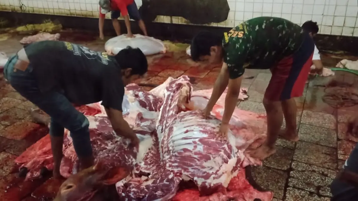 Tukang jagal di Rumah Pemotongan Hewan Jember kota tengah sibuk melakukan pemotongan sapi untuk memenuhi kebutuhan daging sapi selama Lebaran (Dok.HaloJember)