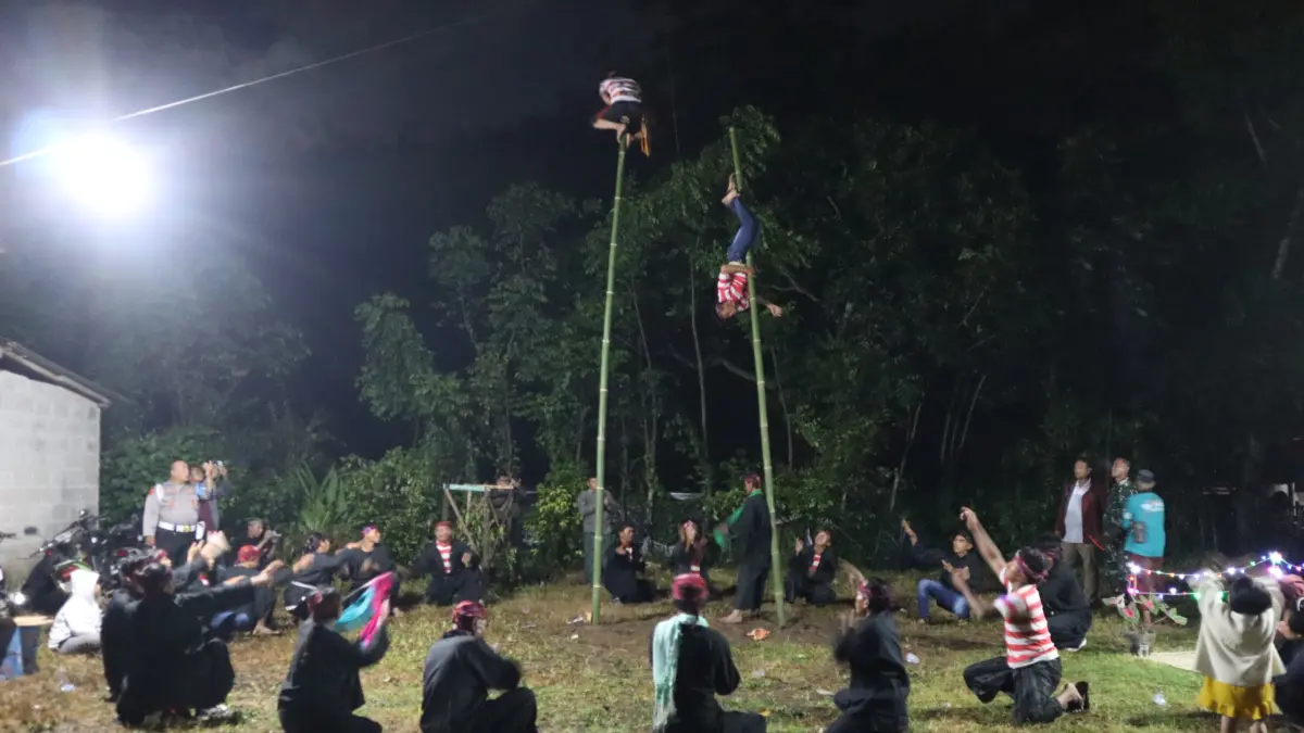 Sejumlah warga melakukan ritual menari di atas bambu, salah satu rangkaian dari tradisi Pojhien di Bondowoso. (DISPARBUDPORA BONDOWOSO)