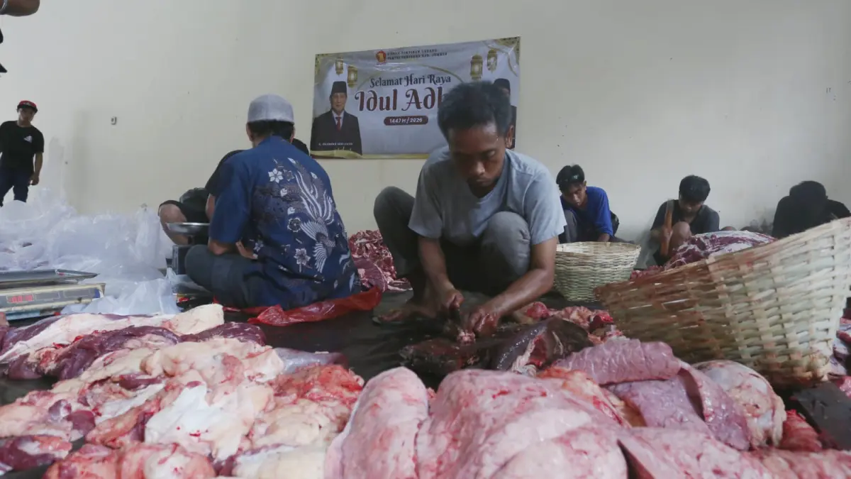 Penyembelihan hewan kurban jenis sapi oleh dPC Gerindra Jember, Rabu (27/5/2026)