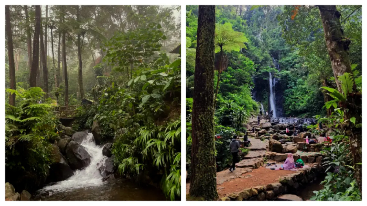 Curug Cilember Bogor (Istimewa)