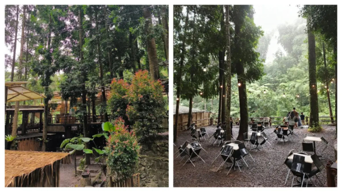 Kembali ke Alam Bogor (Istimewa)