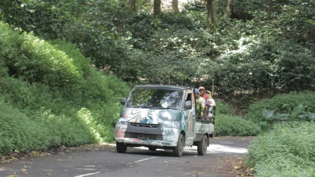 BERBAHAYA: Sopir kendaraan bak terbuka di Bondowoso membawa buruh kebun kopi melintas di jalan Ijen, beberapa waktu lalu. (ILHAM WAHYUDI/HALOJEMBER)