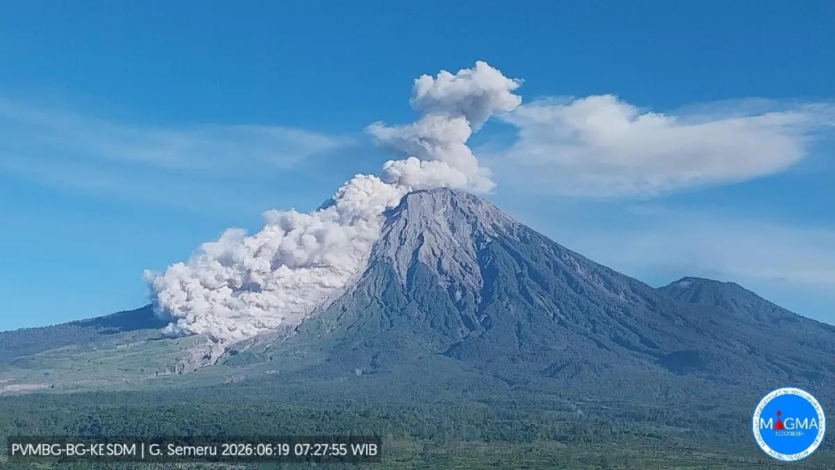 Gunung Semeru Erupsi, Luncurkan Awan Panas Guguran Sejauh 4,5 Kilometer. (PPGA SEMERU, PVMBG)