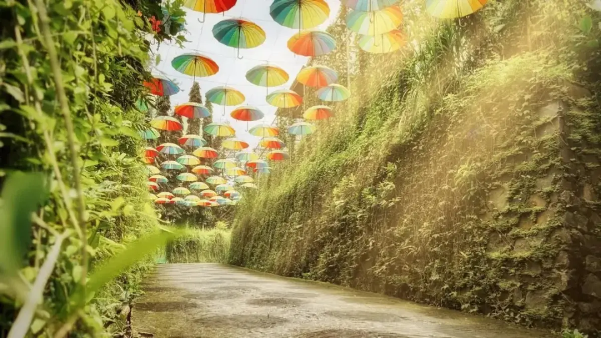Taman Botani Sukorambi (IG: @taman.botani.sukorambi)