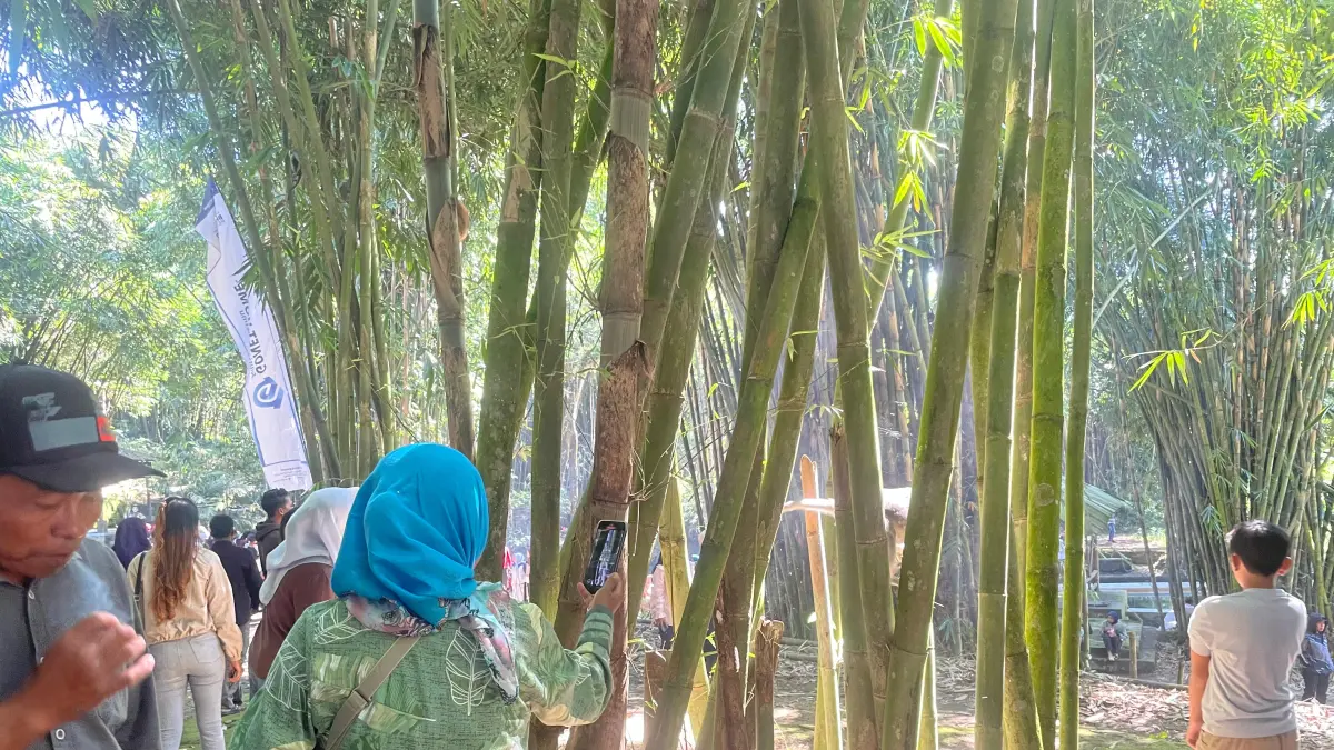 PENUH: Pengunjung bisa melihat puluhan monyet di wisata itu.