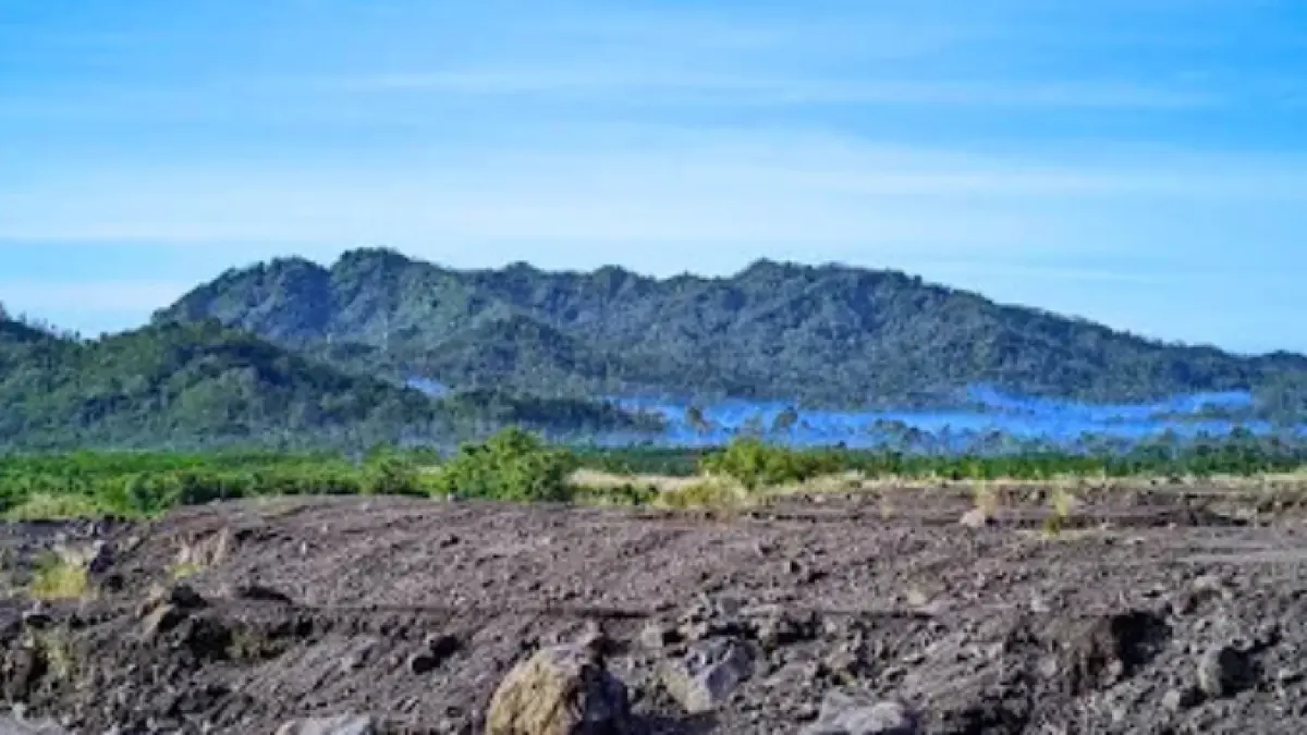 Wisata Curah Koboan (Gmaps)