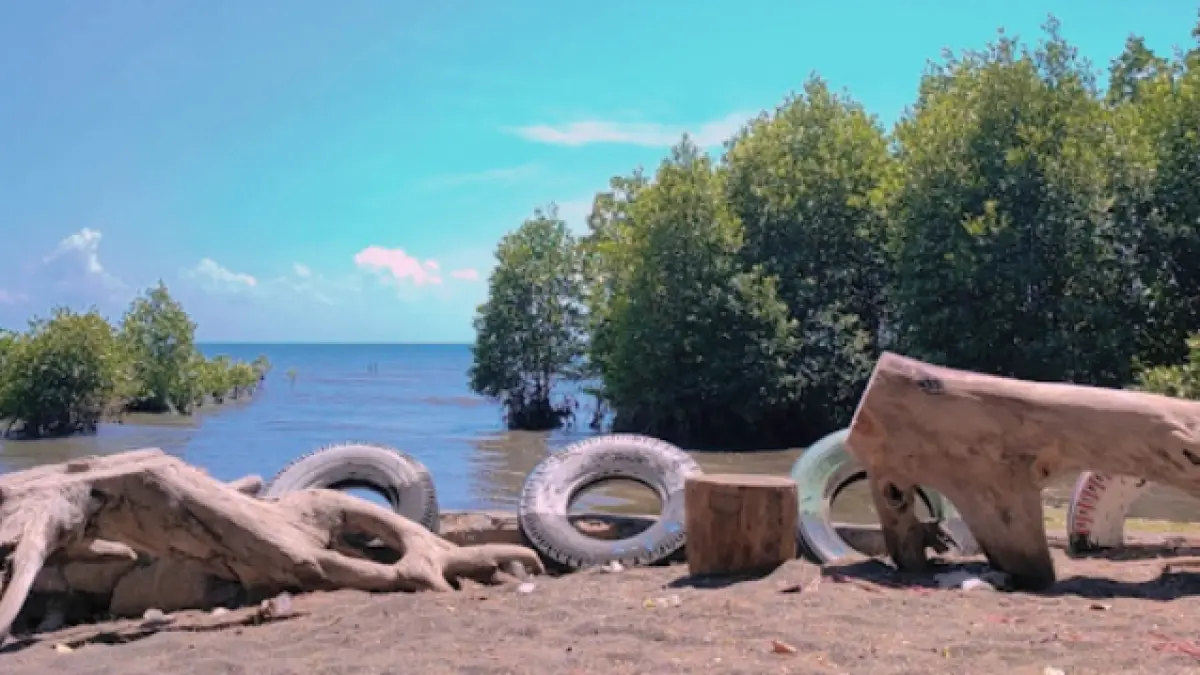 Wisata Pantai Cemara Situbondo (Foto: Google)