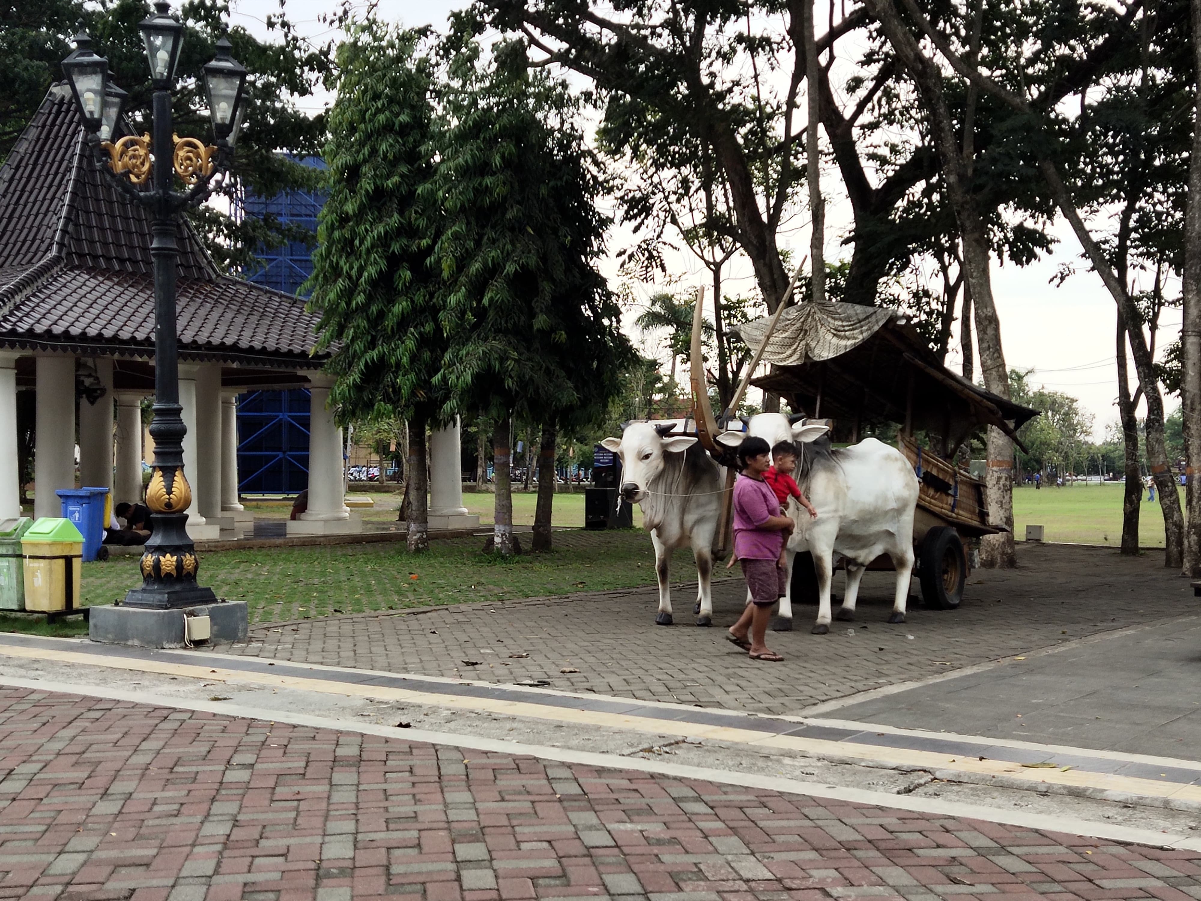 Suasana kawasan Alun-Alun Purworejo saat sore hari, banyak dikunjungi masyarakat untuk bersantai, Senin (27/11).