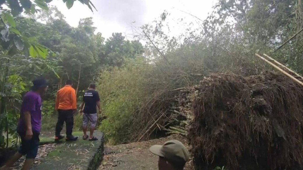 TERDAMPAK: Suasana dampak cuaca ekstrem yang mengakibatkan sejumlah kejadian di kejadian Bantul beberapa waktu lalu. (DOKUMENTASI BPBD BANTUL)