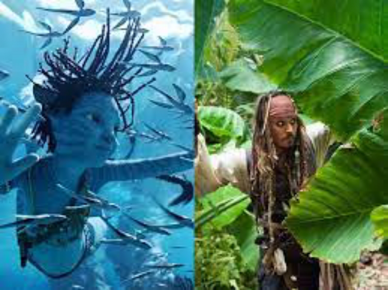 LARIS: Avatar dan Pirates masuk kedalam film dengan dana fantastis. (Istimewa)