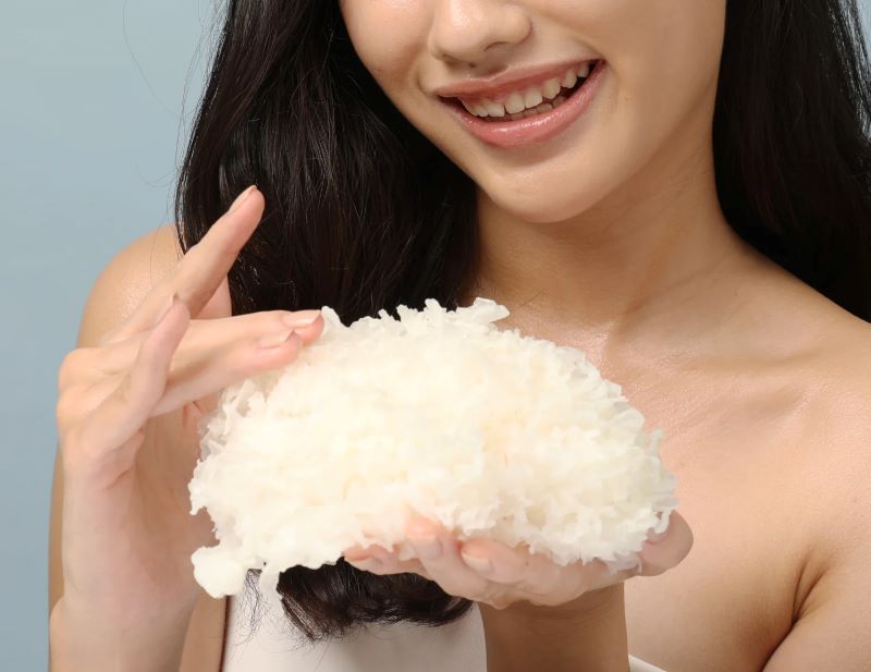 Ilustrasi Jamur Salju. (Website/BLP Beauty)
