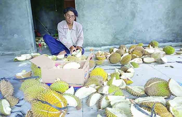 NIKMAT: Pesta Durian Kedunggong digelar di shelter ODGJ yang dikelola masyarakat secara mandiri. Shelter tersebut kini dalam proses pembangunan dan hampir rampung.