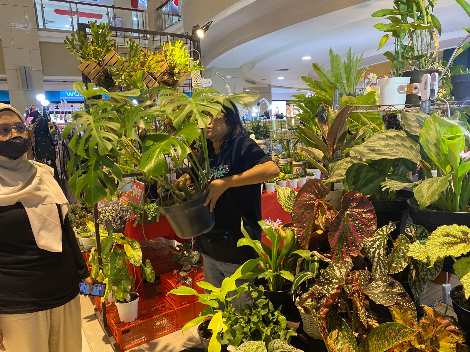 Pengunjung sedang melihat stand tanaman hias dalam acara Bazar Flofaa di Galeria Mall, Jogjakarta.
