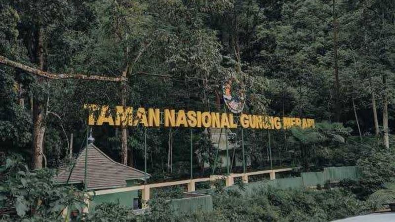 Taman Nasional Gunung Merapi (TNGM).