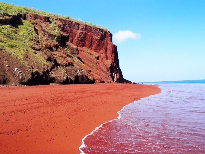Pantai Merah tanpa pasir di China.