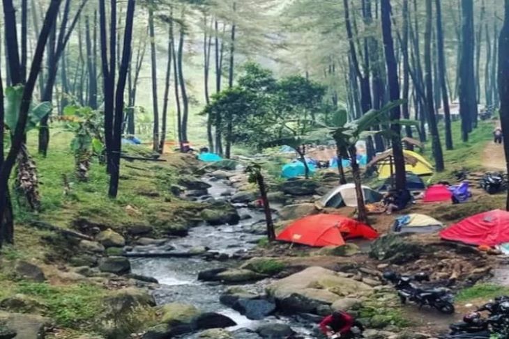 Pengunjung menikmati berkemah di Klura5 Eco Park