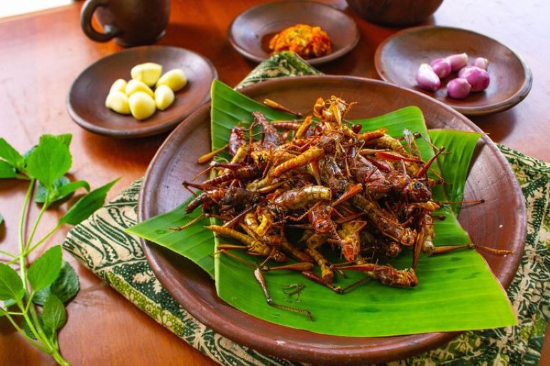 Menu Belalang goreng yang banyak diburu, merupakan kuliner ekstrem khas Kabupaten Gunungkidul, Yogyakarta.