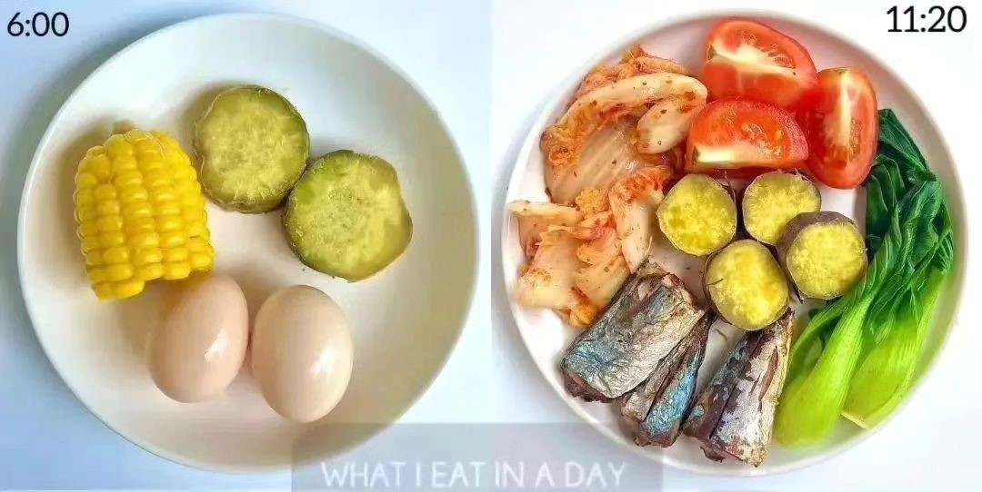 contoh maam-macam menu diet