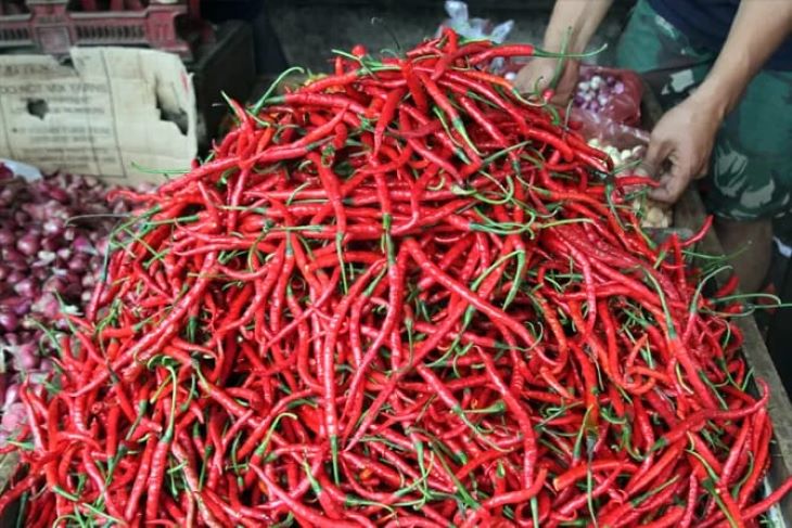 Harga cabai merah keriting tembus ke atas Rp 140.000 per kilogram ( kg ).