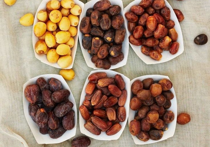 kenali jenis jenis kurma