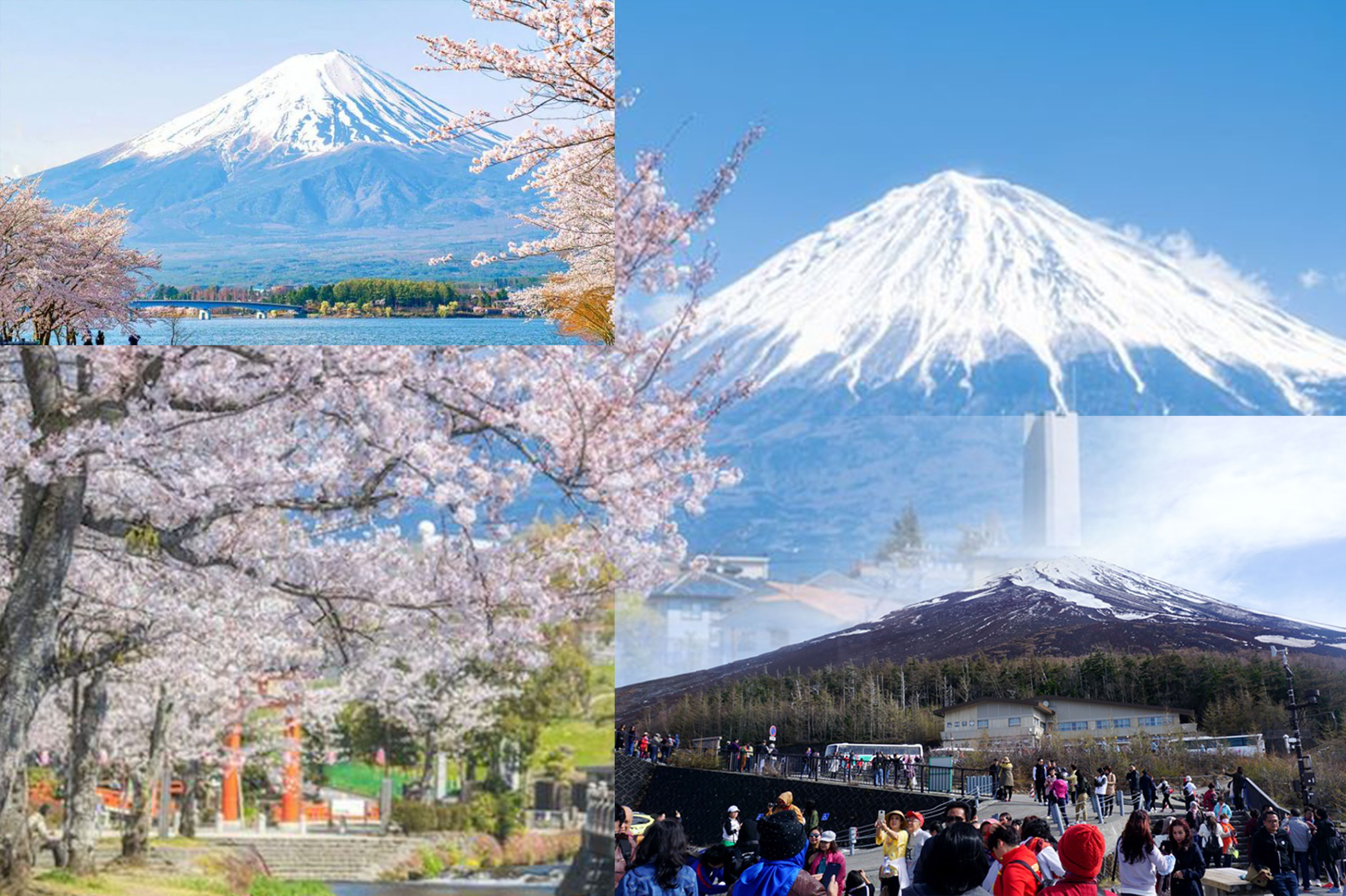 Pesona Gunung Fuji di Jepang dari berbagai sudut Tokyo dan di level 5, lokasi terjauh yang bisa di jangkau busa dan kendaraan.