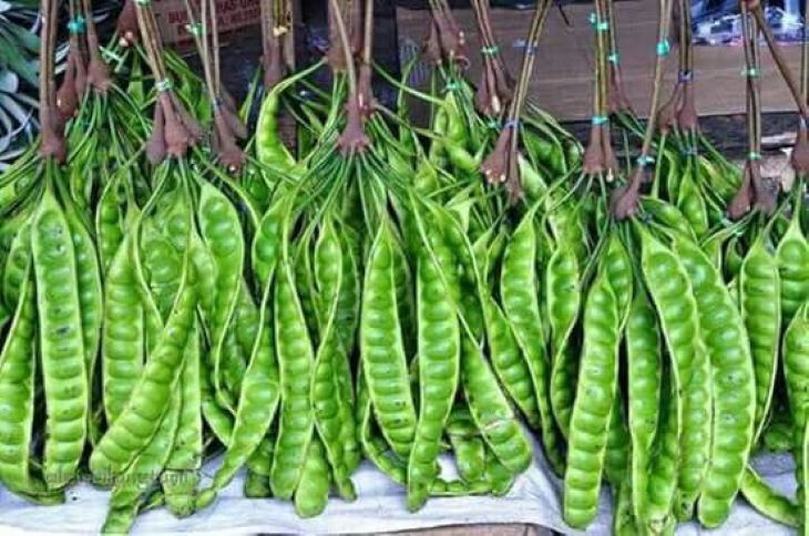 Petai.