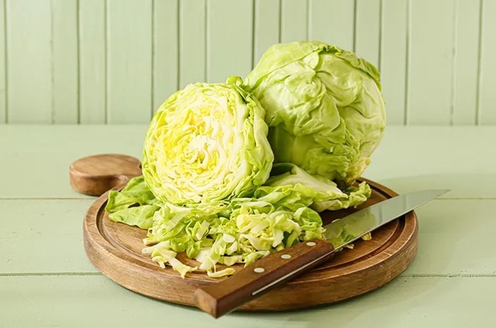 ilustrasi sayur kol