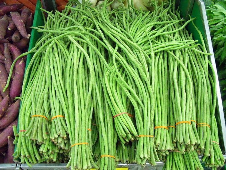 Kacang panjang.