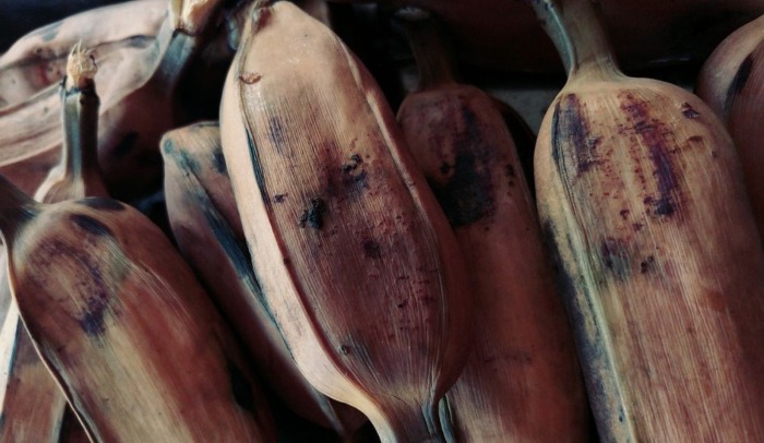 Khasiat Pisang Kepok Rebus.