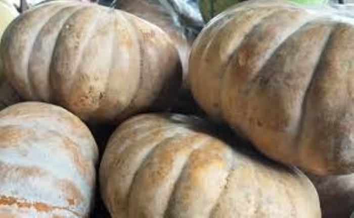 Labu kuning dapat mencegah gejala asam lambung.