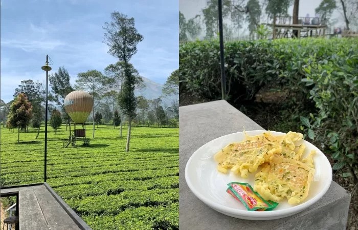 3 Rekomendasi Tempat Kuliner di Wonosobo dengan View Bagus.