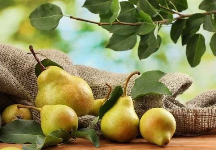 Buah Pir yang kaya akan serat dan bermanfaat.