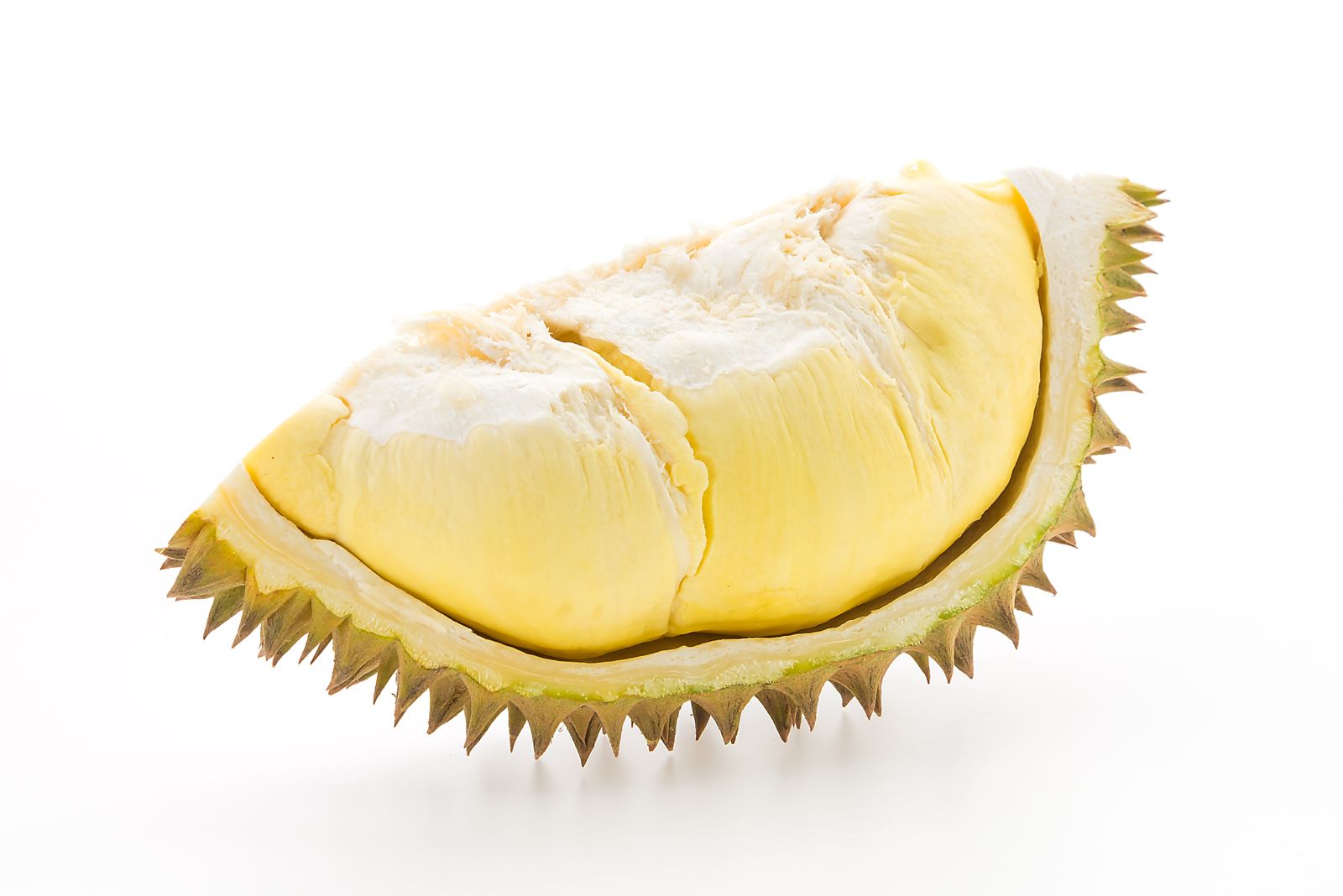ilustrasi durian