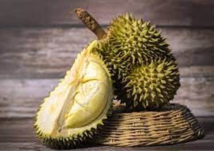 ilustrasi Buah durian.