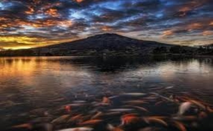 Wisata di Kota Temanggung yang bernama Embung Kledung.