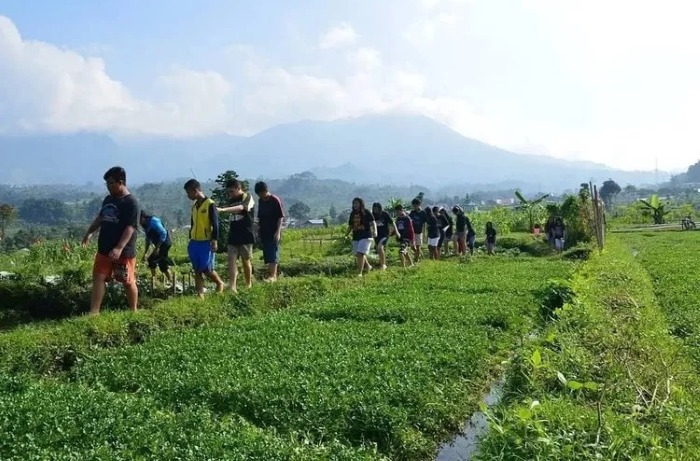 Salah satu kegiatan di Desa Wisata Sendangsari, Wonosobo. (Wonosobo Zone)