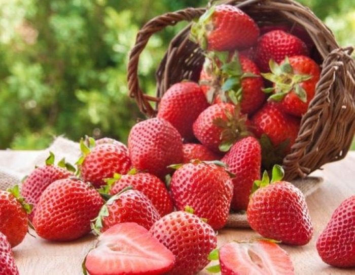 Strawberry yang Jarang Diketahui, Salah Satunya dapat Mencegah Demensia. (KlikDokter)