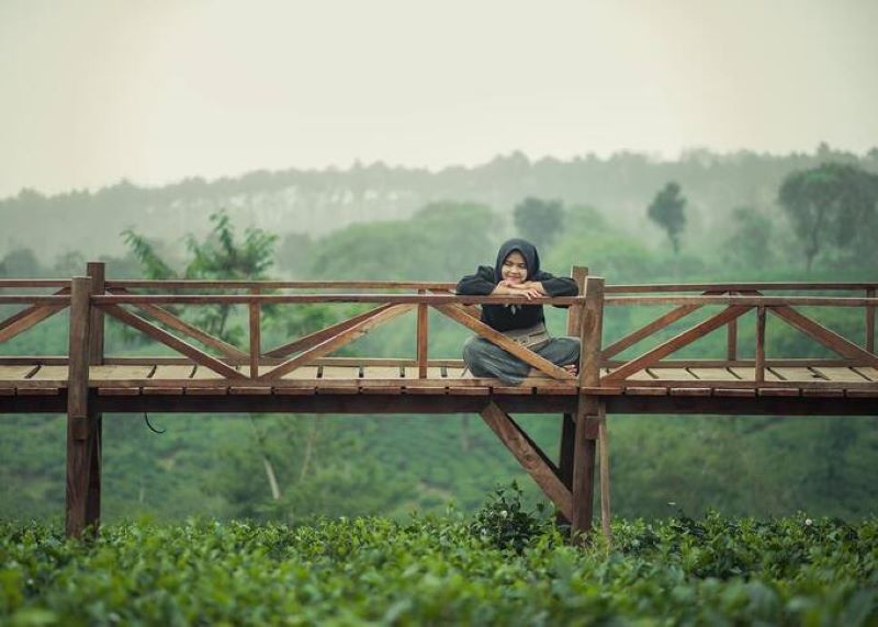 Menikmati alam yang masih asri di Agrowisata Kebun Teh Wonosari, Malang, Jawa Timur.